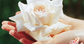 Как диагностируется и лечится хламидиоз