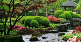 Красивый сад и огород своими руками