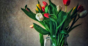 Что делать, чтобы тюльпаны дольше стояли в воде