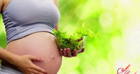 Вегетарианство и беременность – за и против