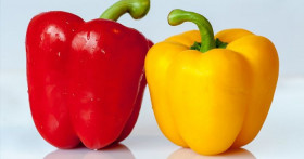 Можно ли болгарский перец при панкреатите?