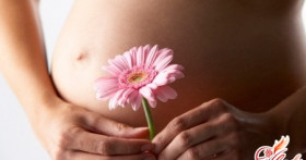 Женские проблемы – «родом из детства»?