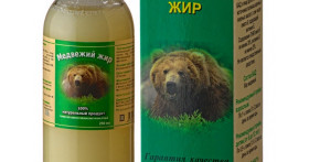 Медвежий жир – полезный продукт и лекарство натурального происхождения