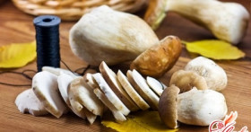 Сушеные грибы – ароматный, вкусный и полезный запас на зиму