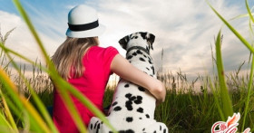 Как правильно выбрать собаку?