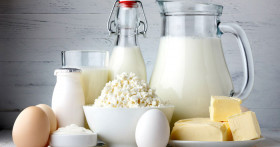 Какие молочные продукты можно употреблять при панкреатите?