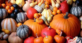 Тыква: полезные свойства