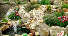 Устройство альпинария на приусадебном участке