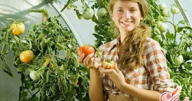 Законсервированное лето: как построить теплицу