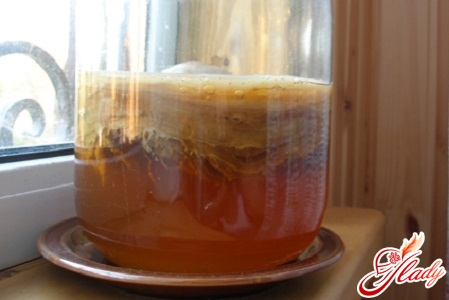Уход за чайным грибом в домашних условиях для начинающих пошагово с фото