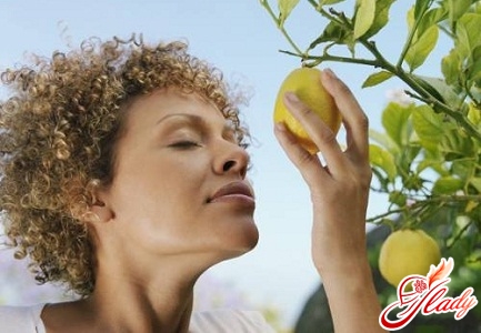 как вырастить лимон в домашних условиях