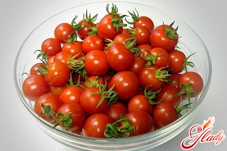 лучшие сорта томатов для открытого грунта
