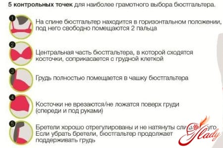 Контрольные точки при подборе бюстгалтера