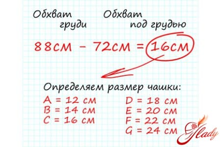 Расчет размера бюстгалтера
