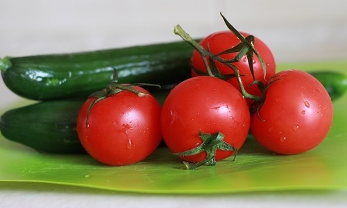 диета можно есть помидоры огурцы