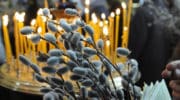 Что делать с вербой, которая простояла год в доме