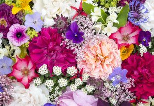 Как правильно выбрать букет цветов для девушки?