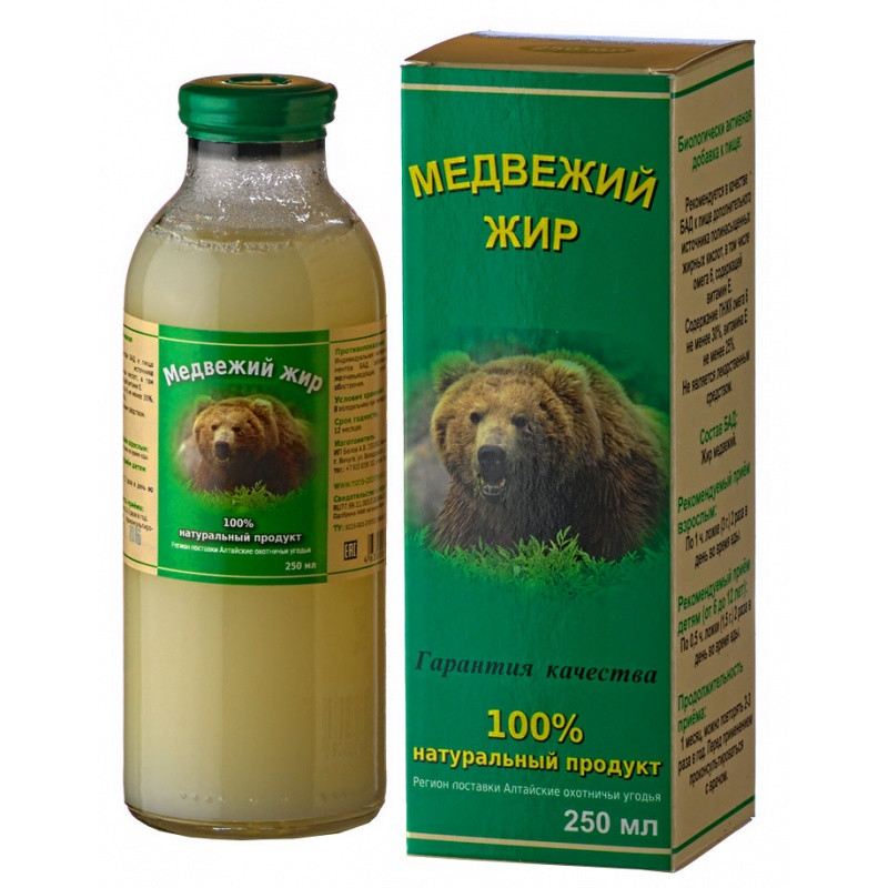 Медвежий жир – полезный продукт и лекарство натурального происхождения