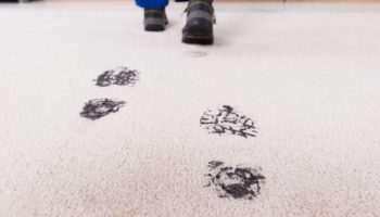 Чем опасны грязные домашние ковры?