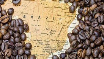 Как климата влияет на вкус бразильского кофе