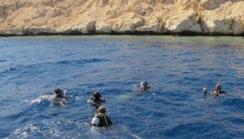 Чем отличаются дайв-сайты Хургады, Шарма и Дахаба